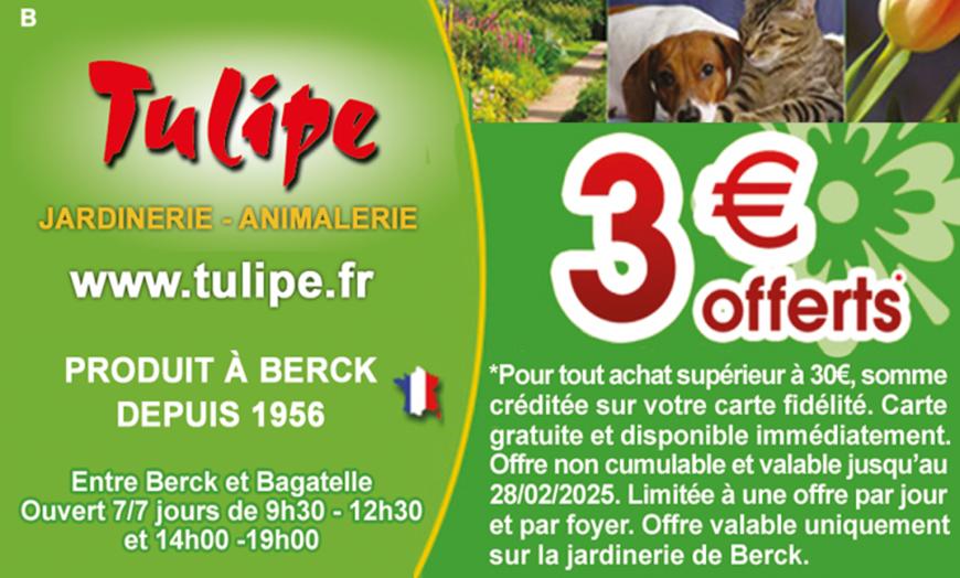 Coupon Jardinerie Tulipe